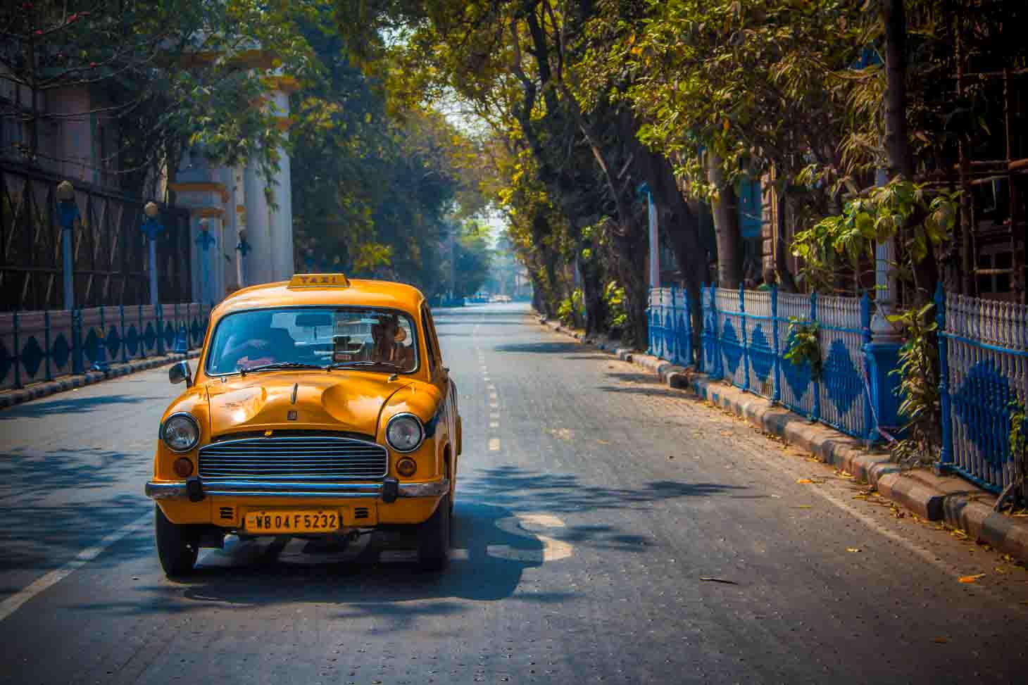 Yellow Ambassador taxi driving down a quiet tree-lined avenue